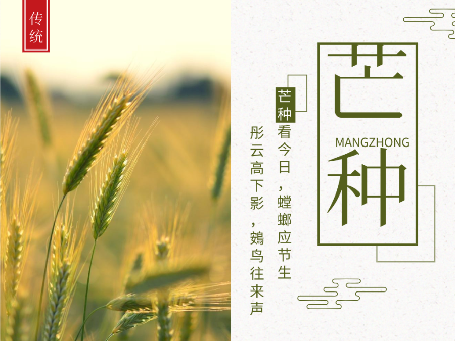 今日芒種，忙有所獲，不負(fù)耕耘！