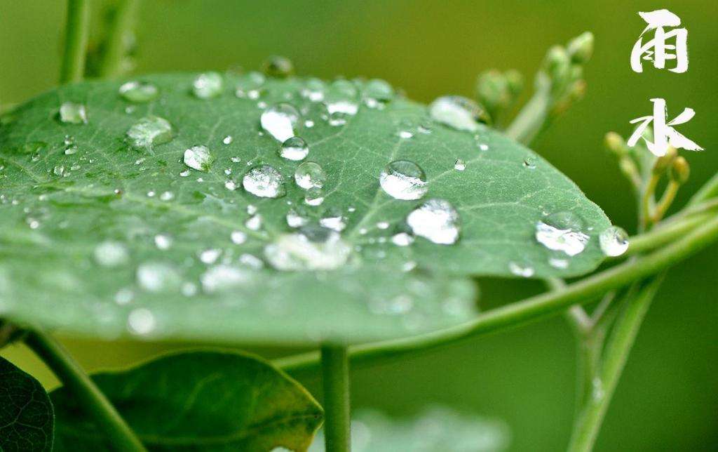 雨水潤萬物，兼顧沙與泥！